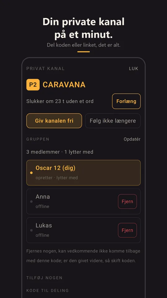 Den private kanal Caravana med sin gruppe