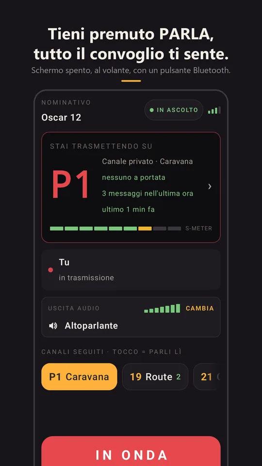Trasmissione sul canale privato Caravana