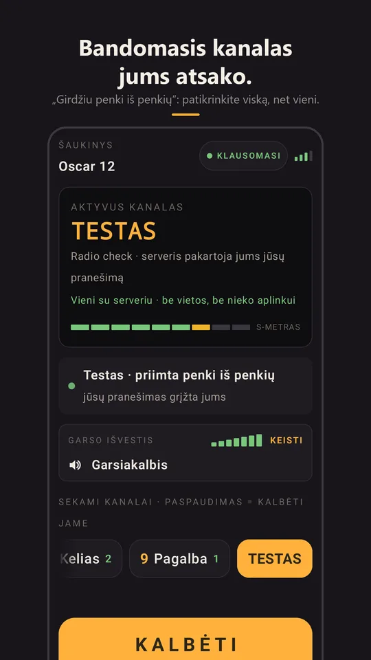 Radio check, atsakantis „girdžiu garsiai ir aiškiai“