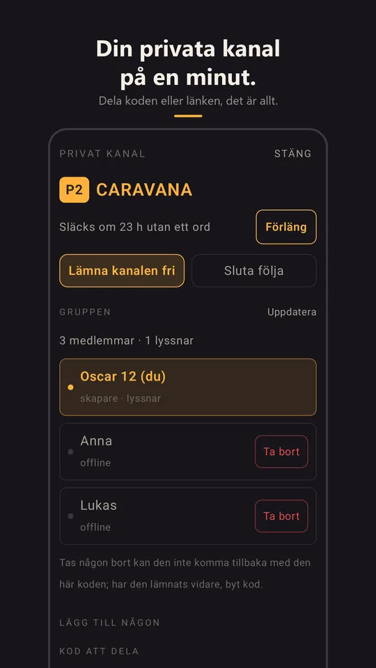 Den privata kanalen Caravana med sin grupp